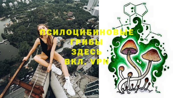 прущая мука Снежинск