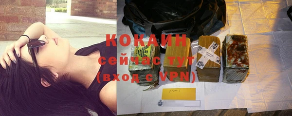 прущие грибы Калининец