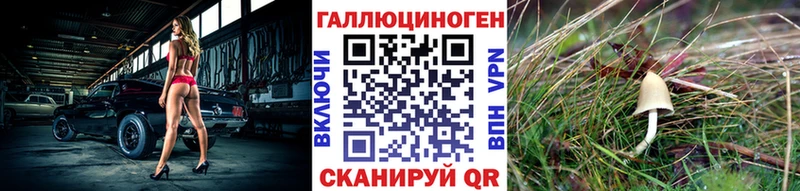 ссылка на мегу tor  Старица  Галлюциногенные грибы GOLDEN TEACHER 
